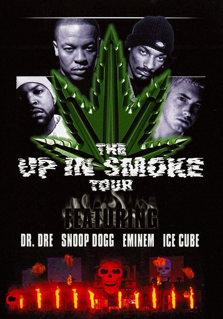 up in smoke tour netflix